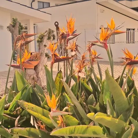 Varandas Do Mar Arcozelo (Porto)