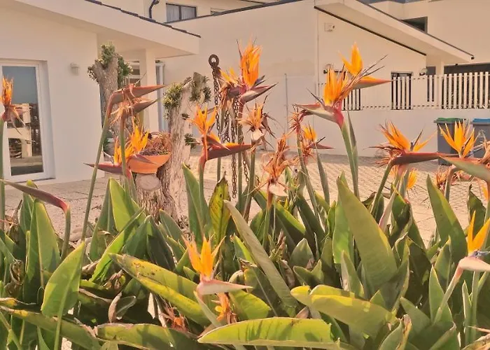 Varandas Do Mar Arcozelo (Porto)